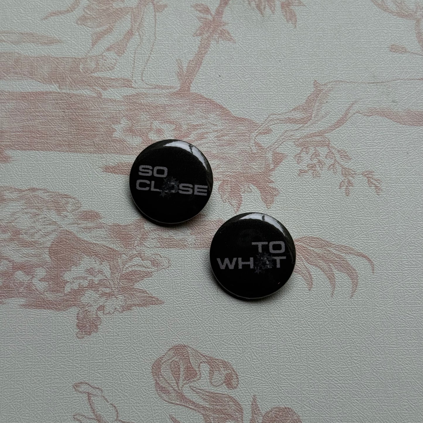 tm sc2w pins